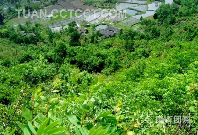 潮州白水岩风景区
