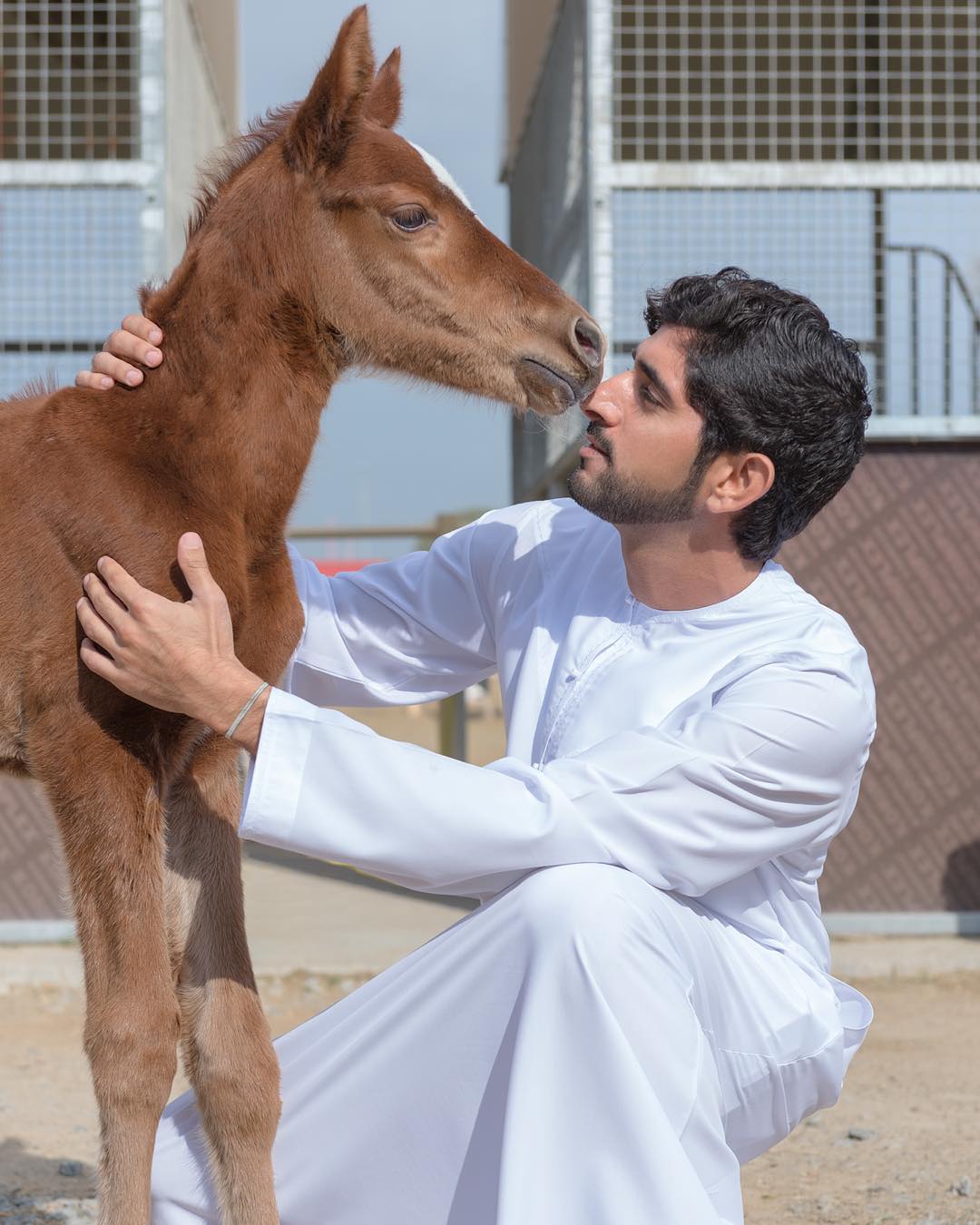 谢赫·哈曼丹·本·穆罕默德··本·拉希德·阿勒马克图姆