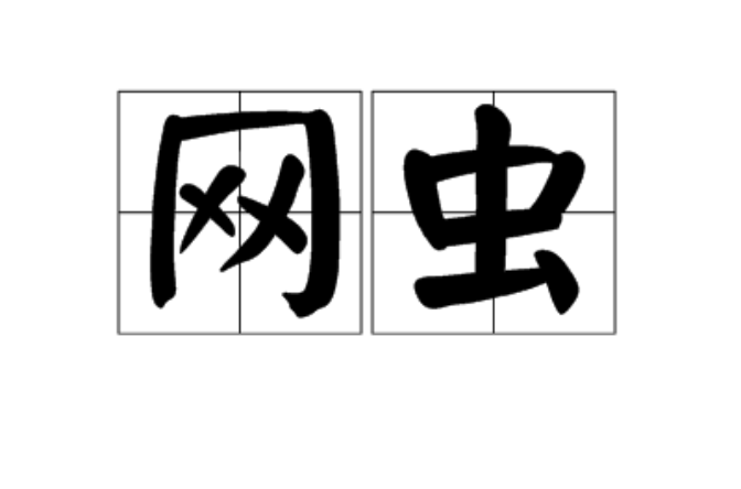 网虫