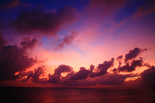 lybws">朝霞是一个汉语词语,读音为zhāo xiá,指初升太阳照映的云霞