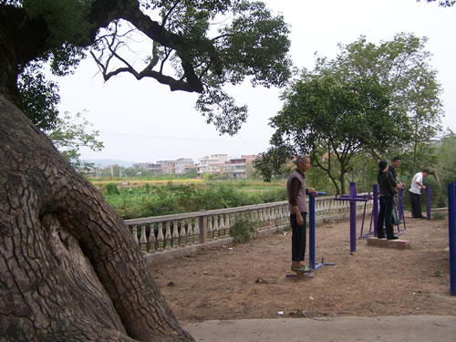 江西毛村镇
