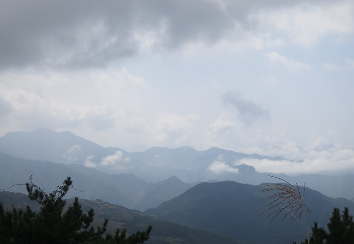 浙江永嘉四海山森林公园