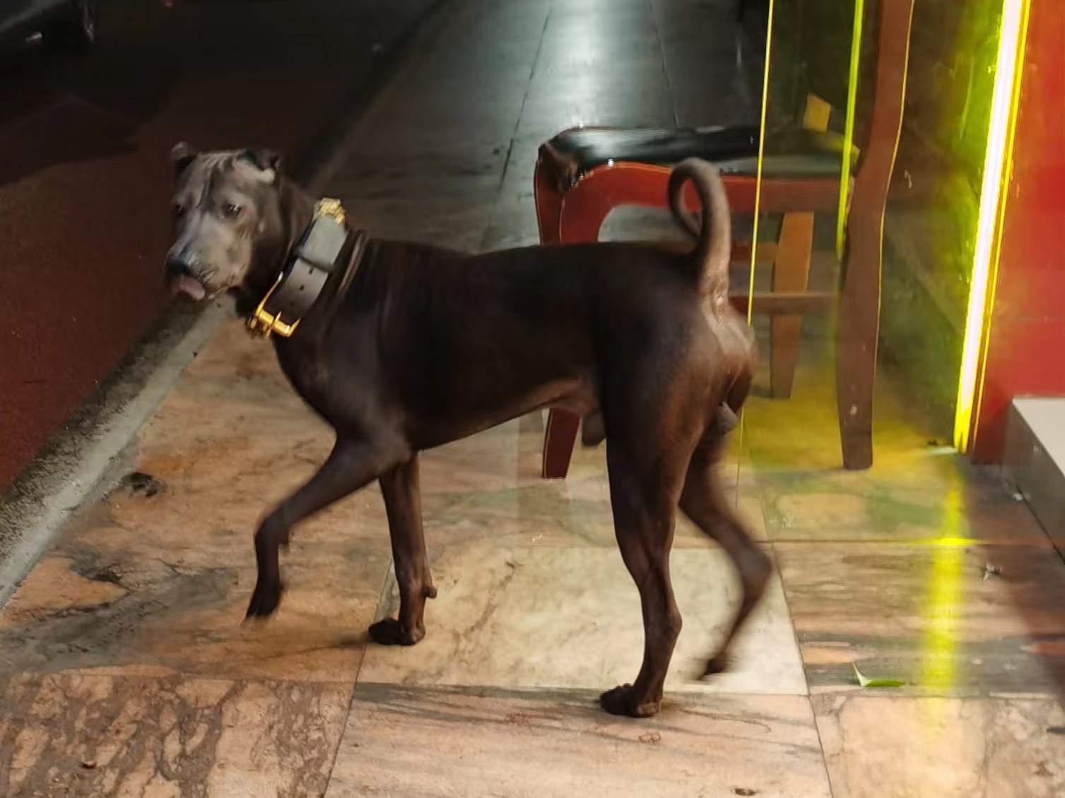 " data-lemmaid="219665">标准 /a>为hkka(hong kong and kowloon