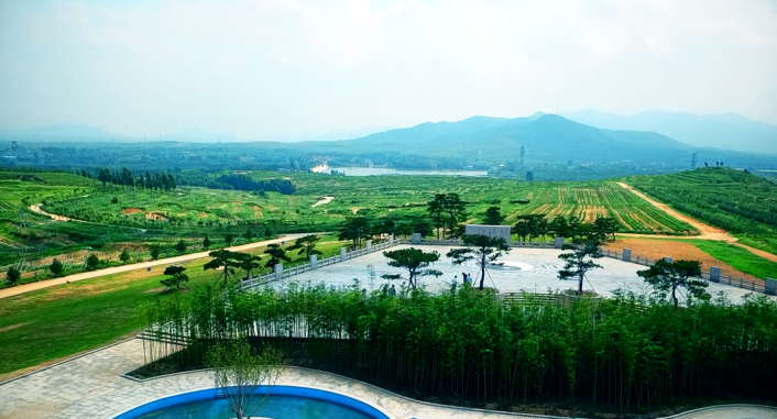 id="2ludrngxoy2">泰茶良心谷有机生态示范园,3a级景区,位于山东泰 