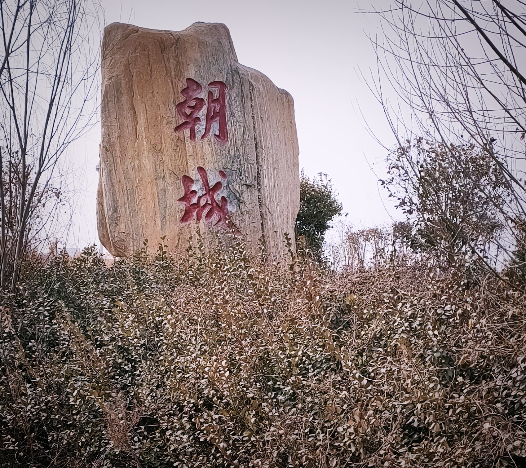  p>朝城镇隶属于 a target="_blank" href="/item/山东省/209822"