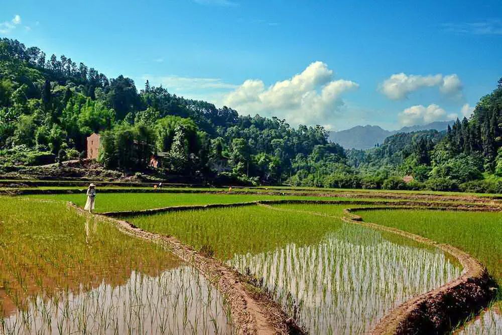  p>李市镇,隶属于重庆市江津区,地处 a target="_blank" href="/item