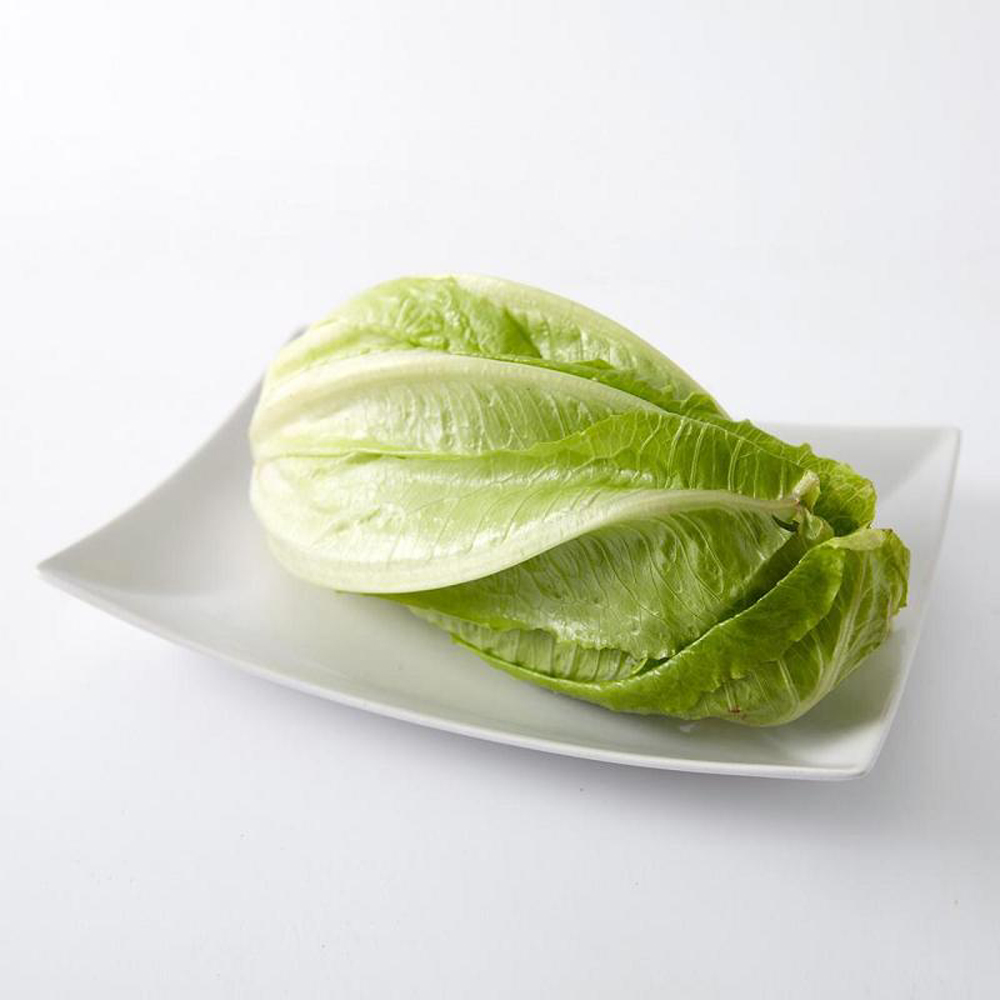 广东生菜