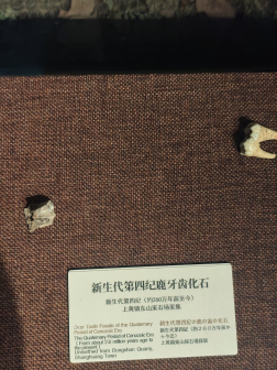 溧阳博物馆内藏品