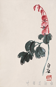 荷包牡丹