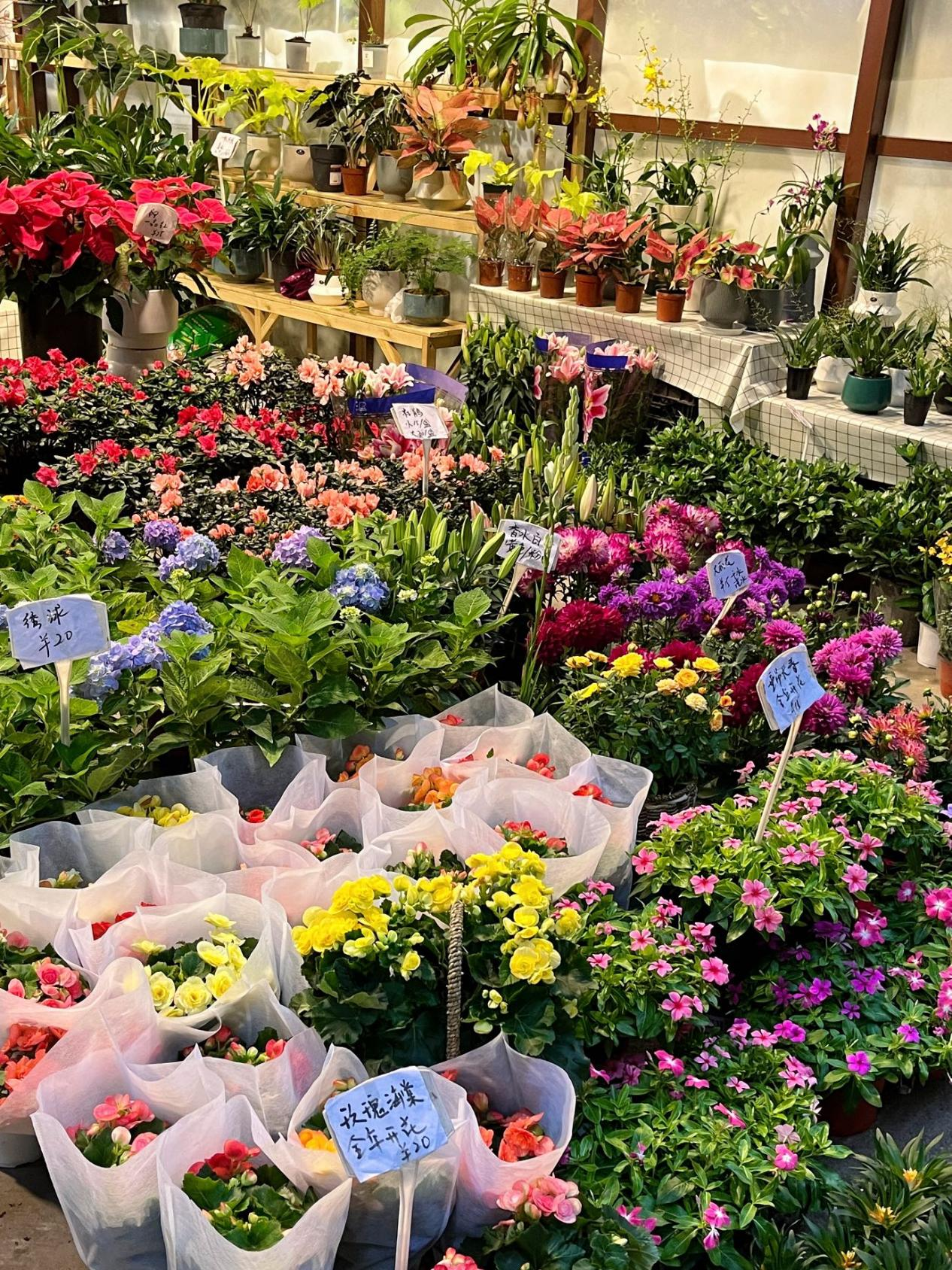  p data-id="tjoojxnmqwde">三圣花市暨成都花卉文创博览园,是根据 a