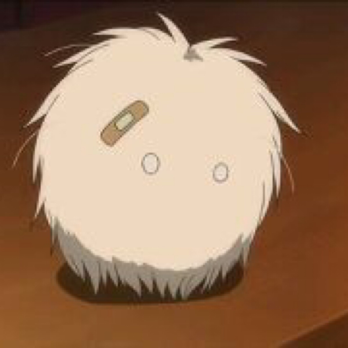  p data-id="gnaumhav4k">毛玉,出自《 a targ