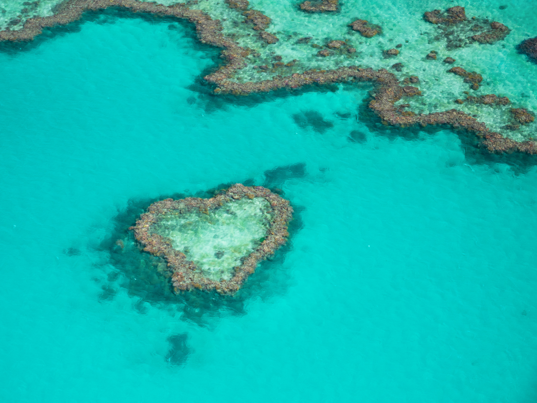 p>大堡礁(英文:the great barrier reef,法文:grande barrière de