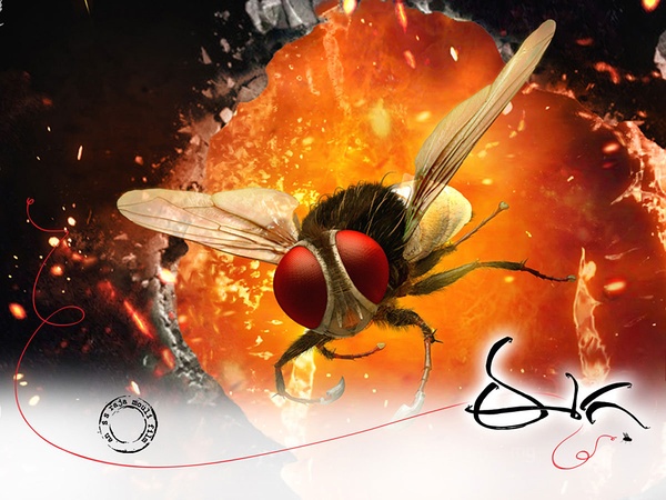 功夫小蝇 eega