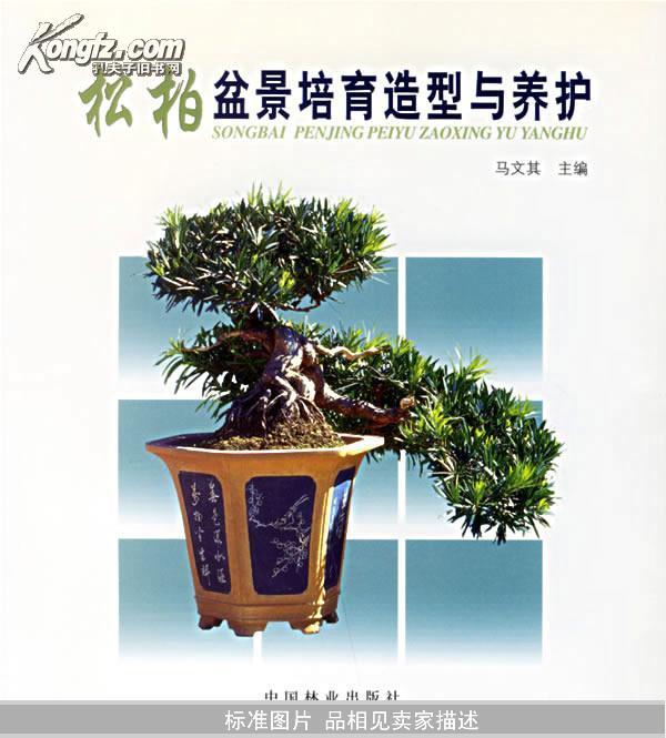 松柏盆景培育造型与养护