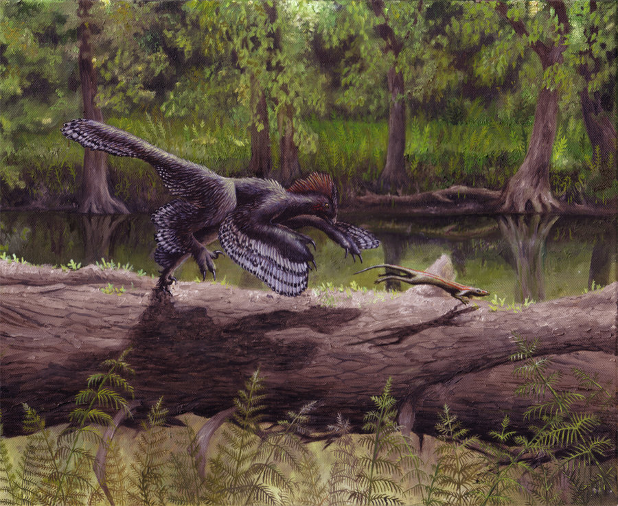  p>赫氏近鸟龙(anchiornis huxleyi)又名近鸟,是种小型有羽毛 a href=