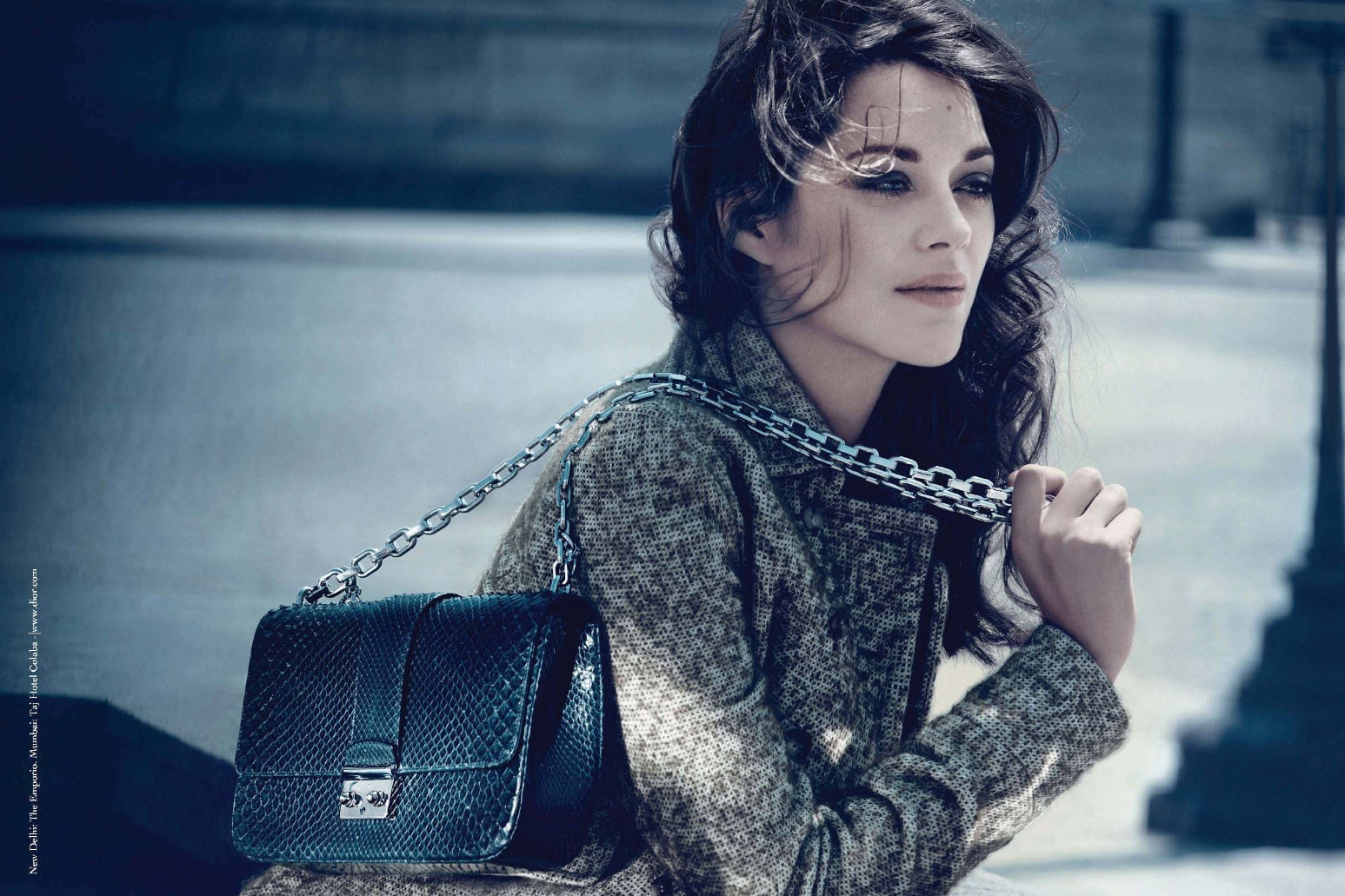 玛丽昂·歌迪亚