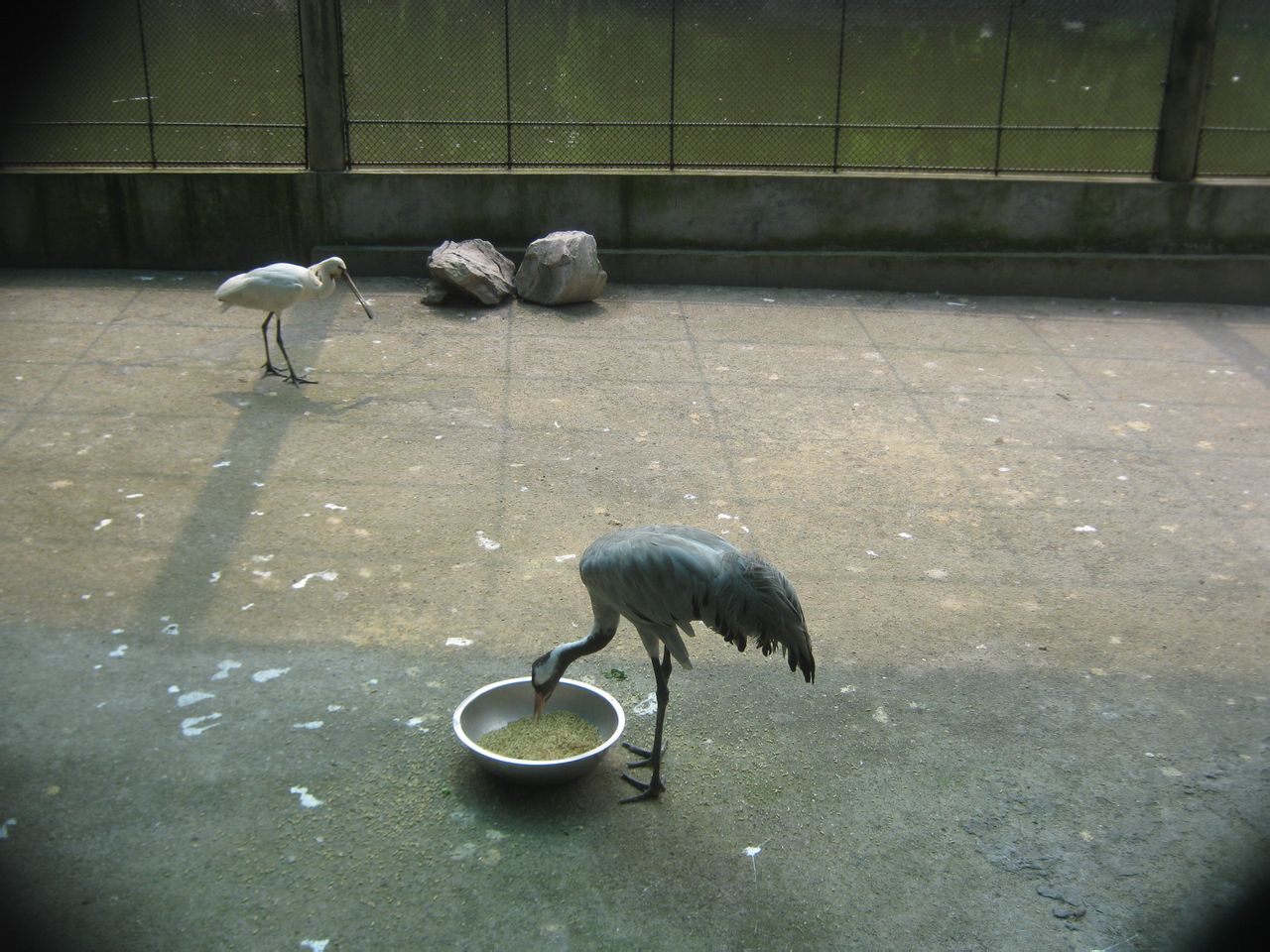  p>衡阳动物园坐落于中南重镇 a href="#" data-lemmaid="235811">