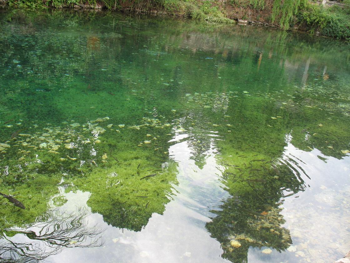  p data-id="gnwyqvt9mp">九鼎龙潭是云南丽江束河著名景点之一.