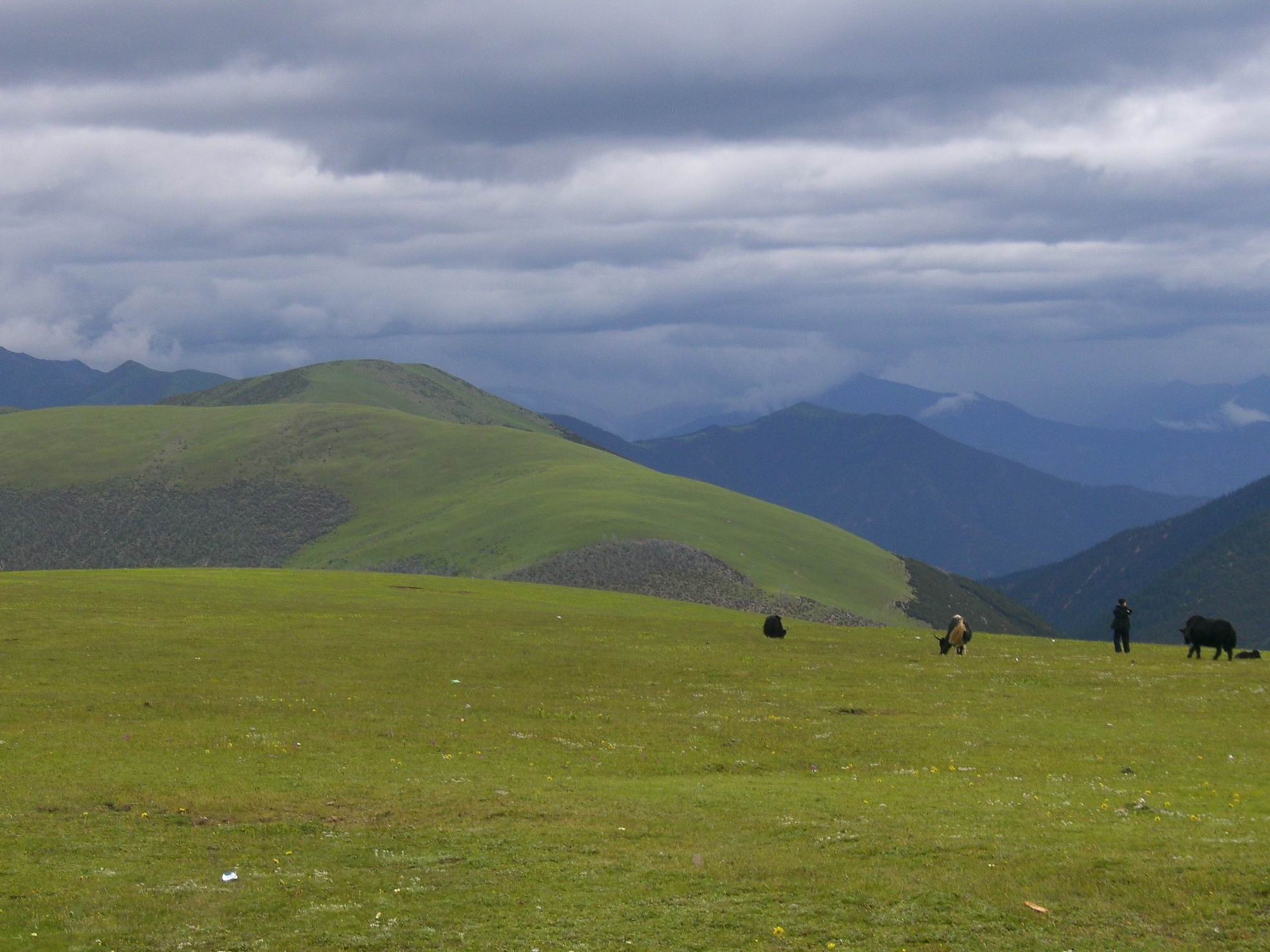 海子山自然保护区