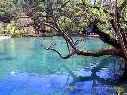 丽江黑龙潭公园