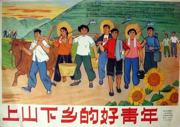 上山下乡运动