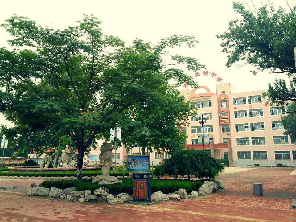 齐河县实验中学