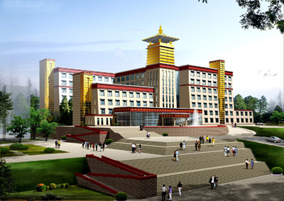 青海省藏医院住院检查加急代办的简单介绍