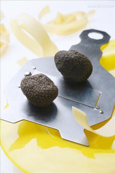perigord truffle