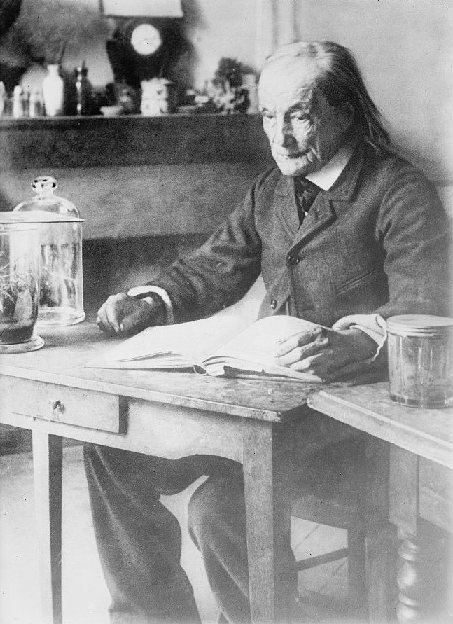  p>让·亨利·卡西米尔·法布尔(jean-henri casimir fabre,1823年12