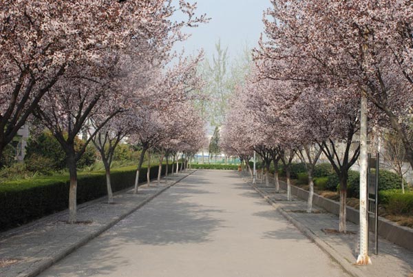 河南省新安县第一高级中学