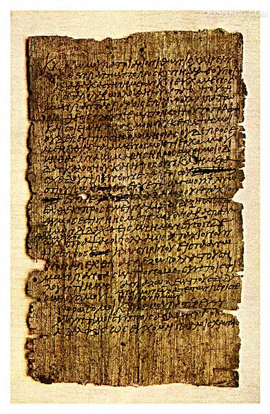  p>纸莎草(学名: i>cyperus papyrus /i> l.