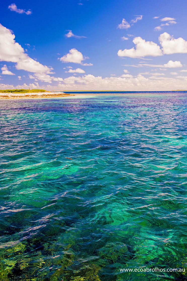 122个小岛组成,多以珊瑚礁围绕,位于印度洋的澳大利亚西海岸