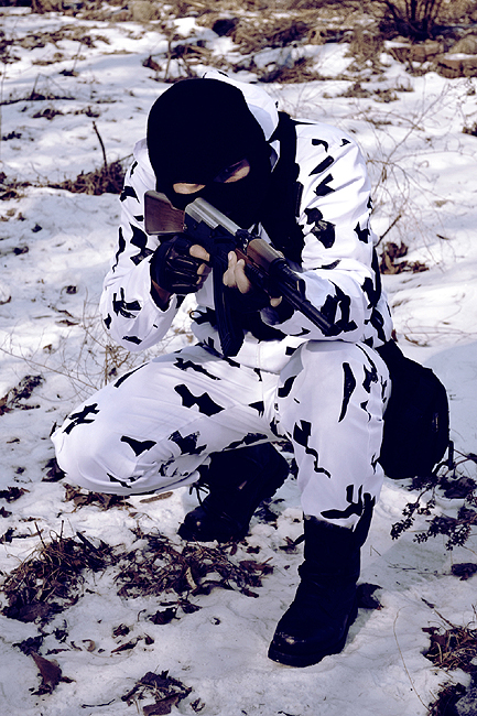 瑞典北极复仇者