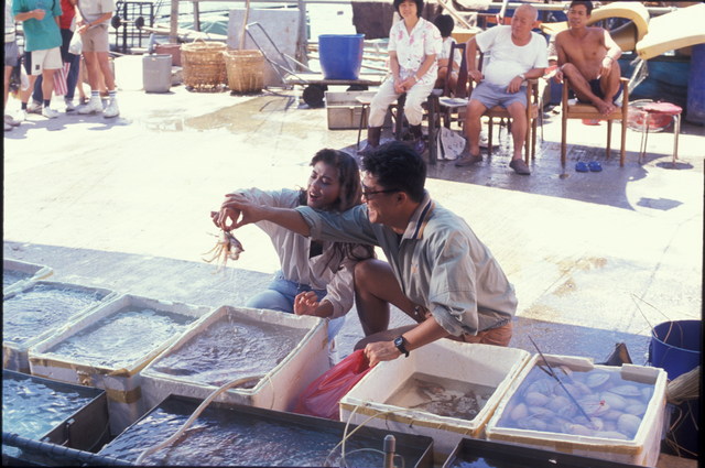  p>剧名:串烧冤家 /p> p>类型:时装 /p> p>播放时间:1989年9月25日 /p