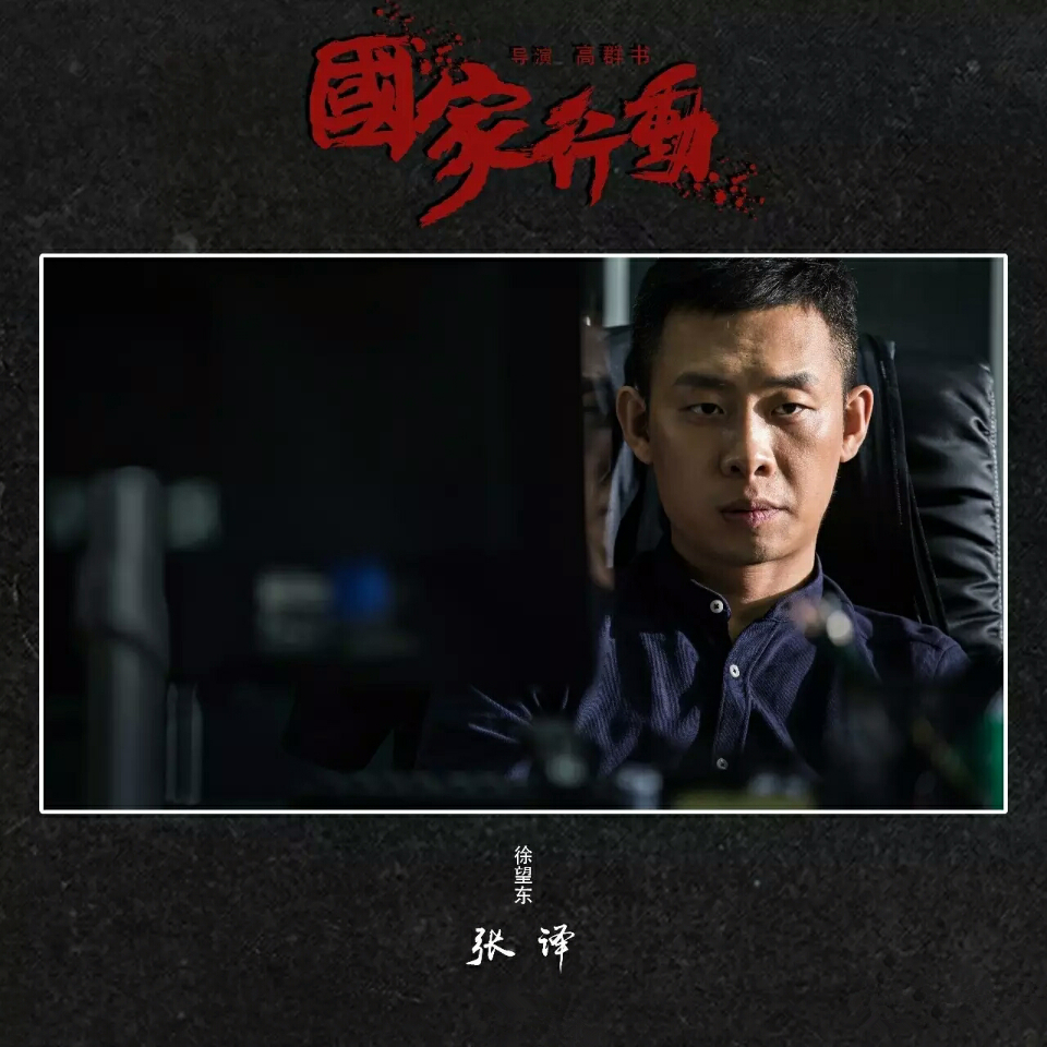  p data-id="go08zm1jhn">《国家行动》是由中国中央电视台,中国国际