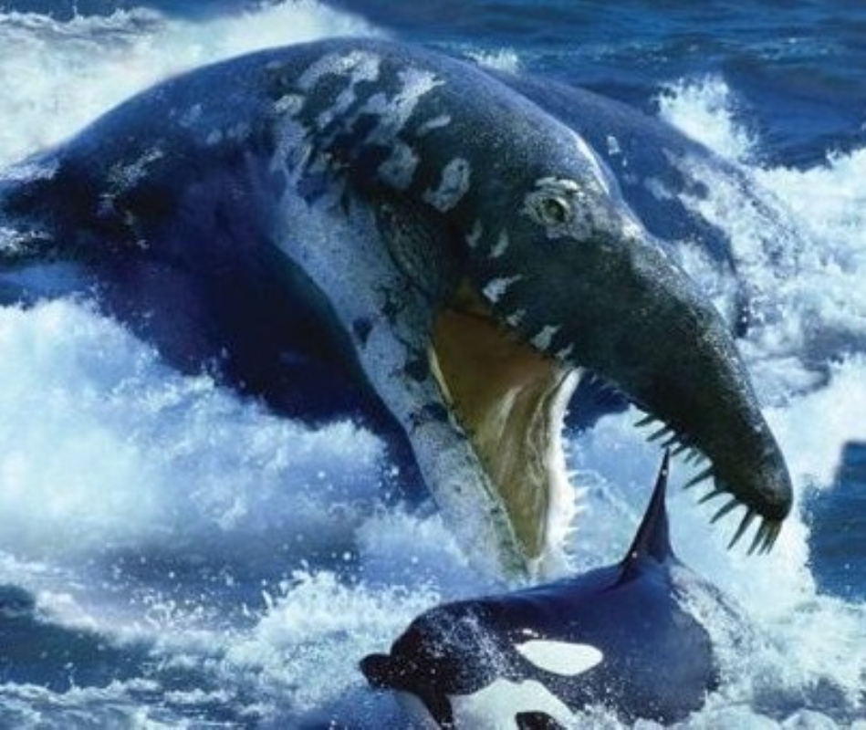  p>滑齿龙是一种 a target="_blank" href="/item/海洋爬行动物