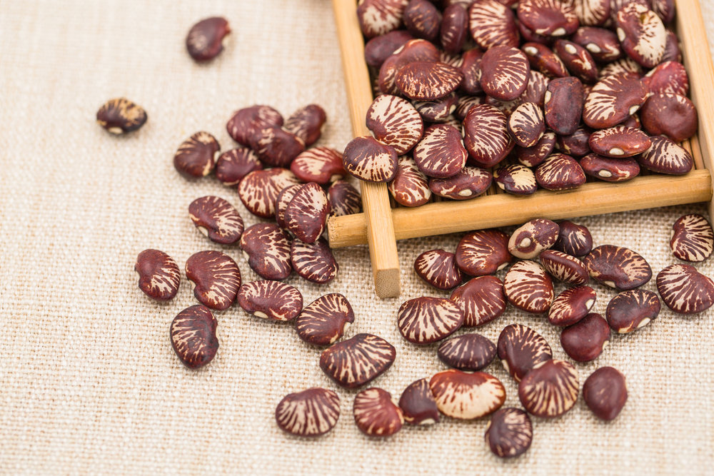  p>荷包豆(学名: i>phaseolus coccineus /i> linn.