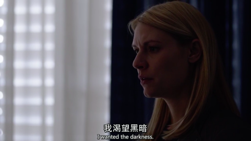 国土安全第五季