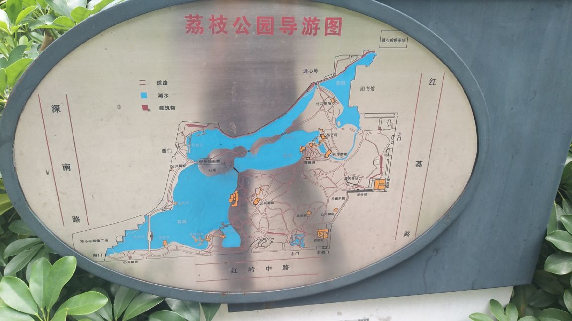 深圳市荔枝公园