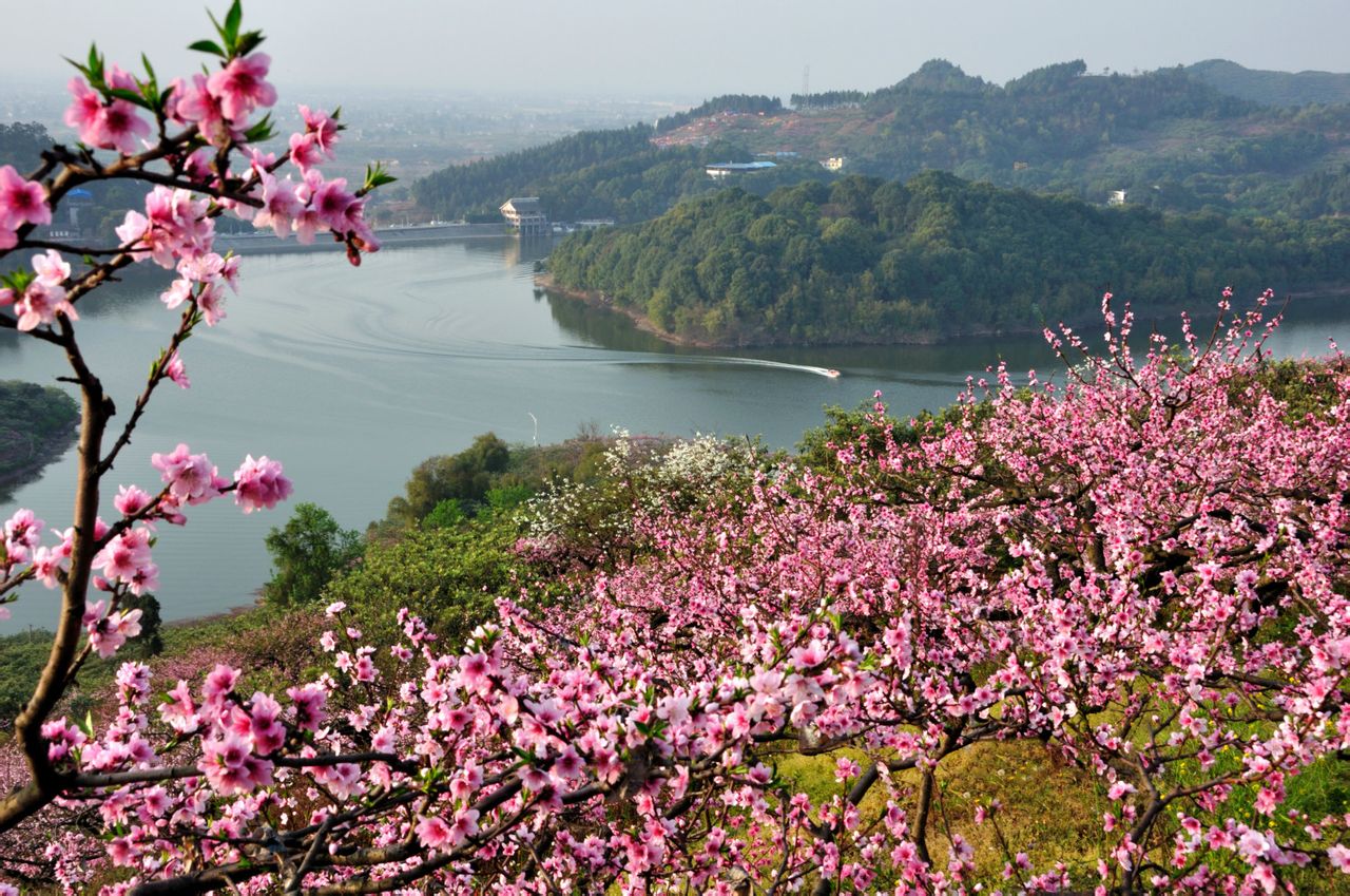 桃花故里