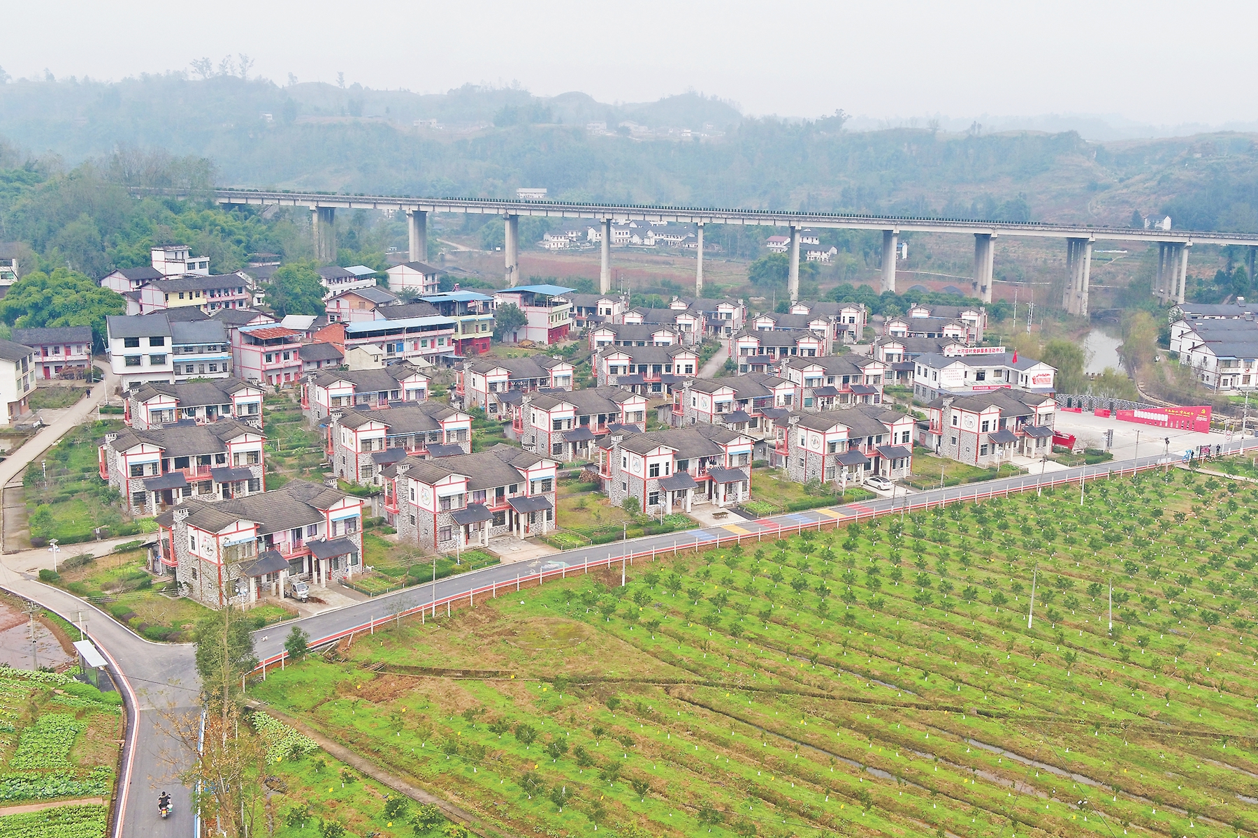 data-lemmaid="15626925">四川省 /a>广安市邻水县,地处 a target="