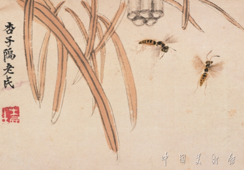 黄蜂