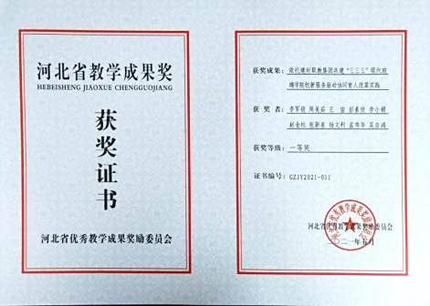 教学成果