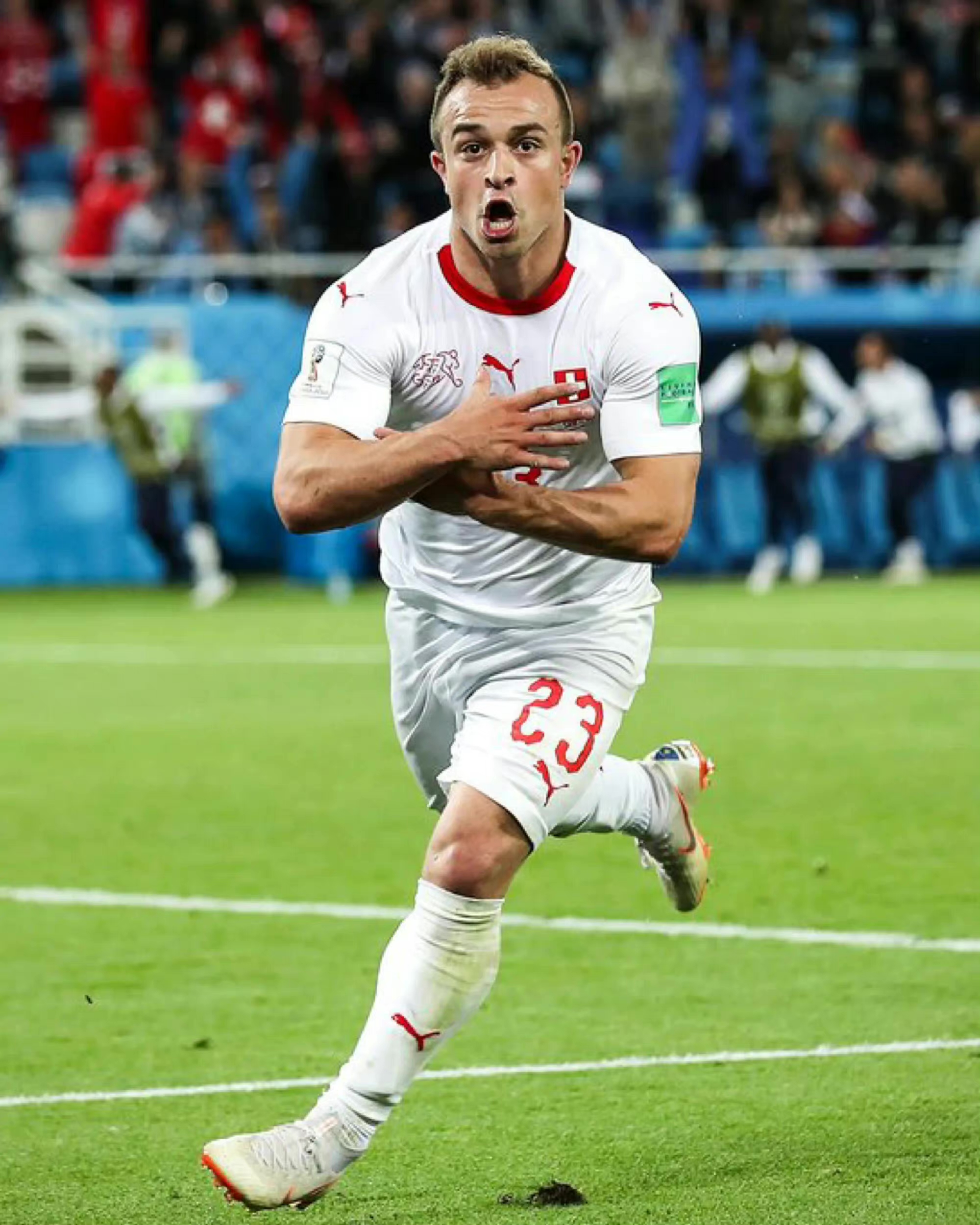 谢尔丹·沙奇里