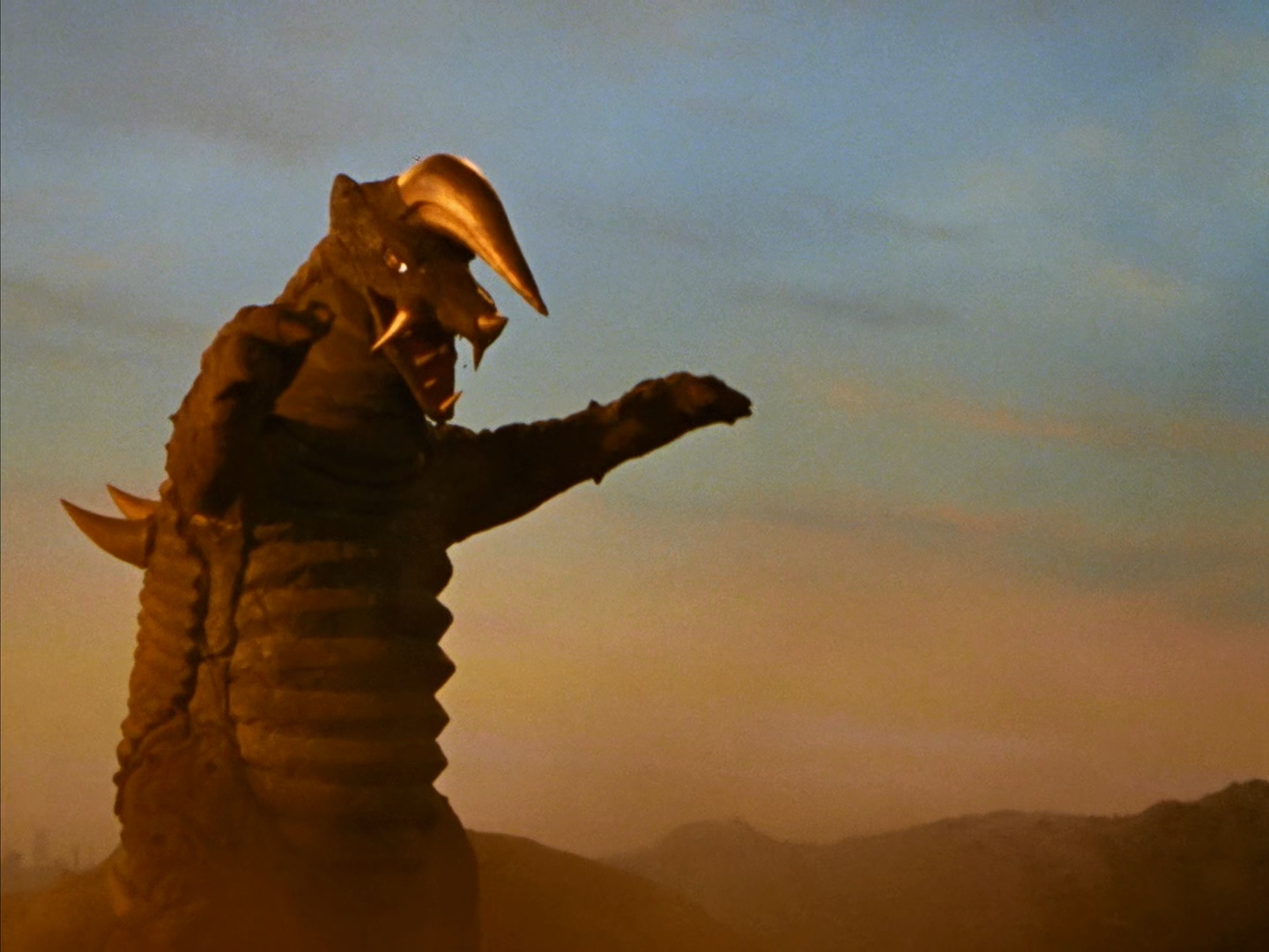 布莱克王第一代