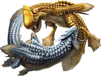 金银鱼龙