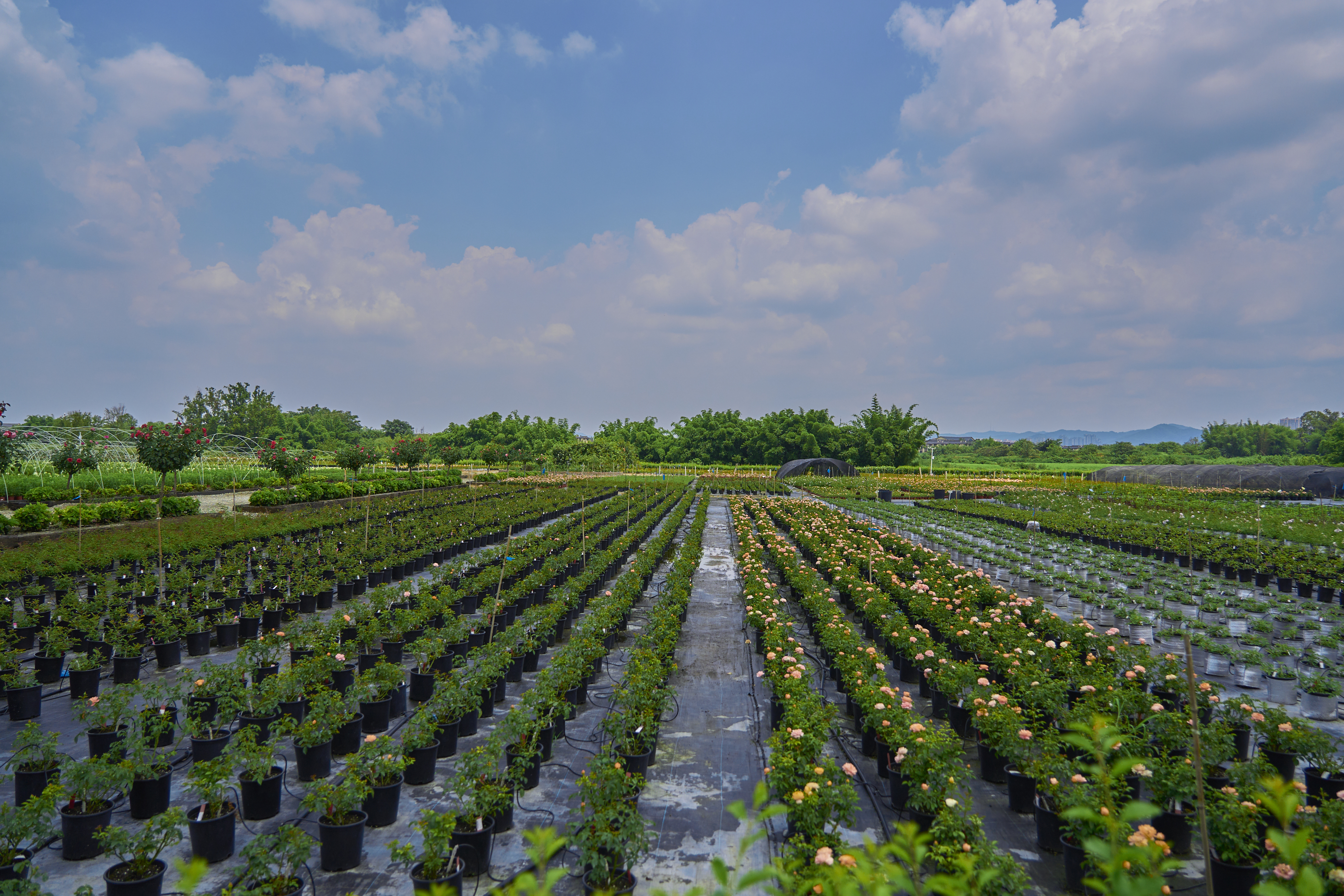 华侨城锦绣天府