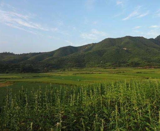  p>文竹镇,隶属江西省吉安市 a target="_blank" href="/item/永新县