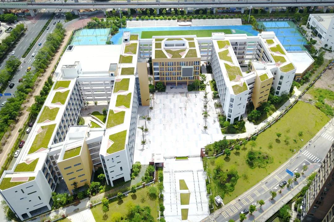 深圳市龙华区实验学校