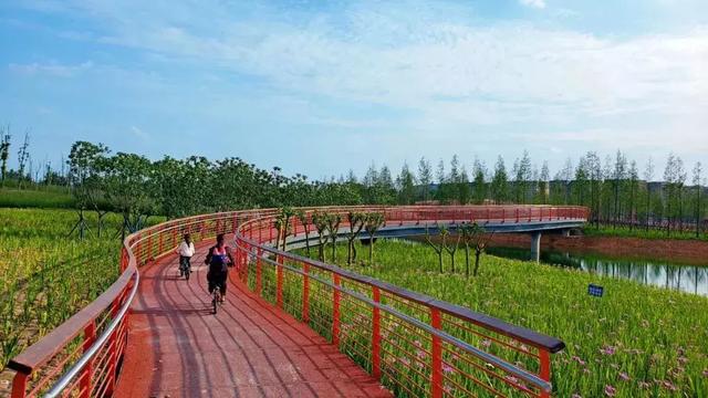 新津红石涵养湿地公园